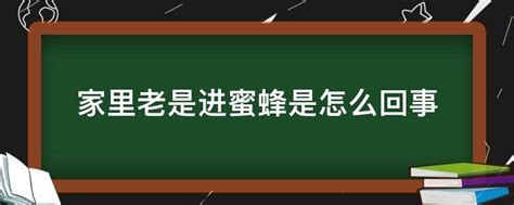 看到蜜蜂徵兆|家里进蜜蜂是什么预兆？